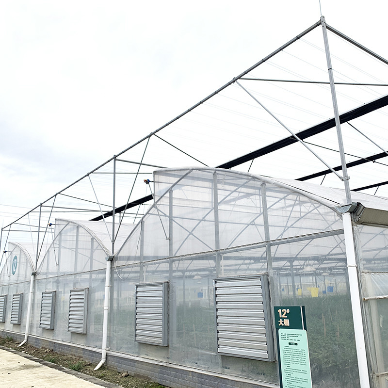 Estructura de acero Diente de sierra Poli película de túnel bajo Invernadero agrícola de múltiples tramos para la producción sostenible de verduras