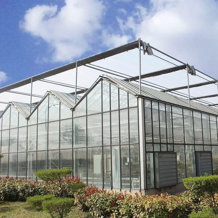 Estructura de acero galvanizado y cubierta de vidrio reforzada para una ventilación óptima en invernaderos de vidrio agrícolas
