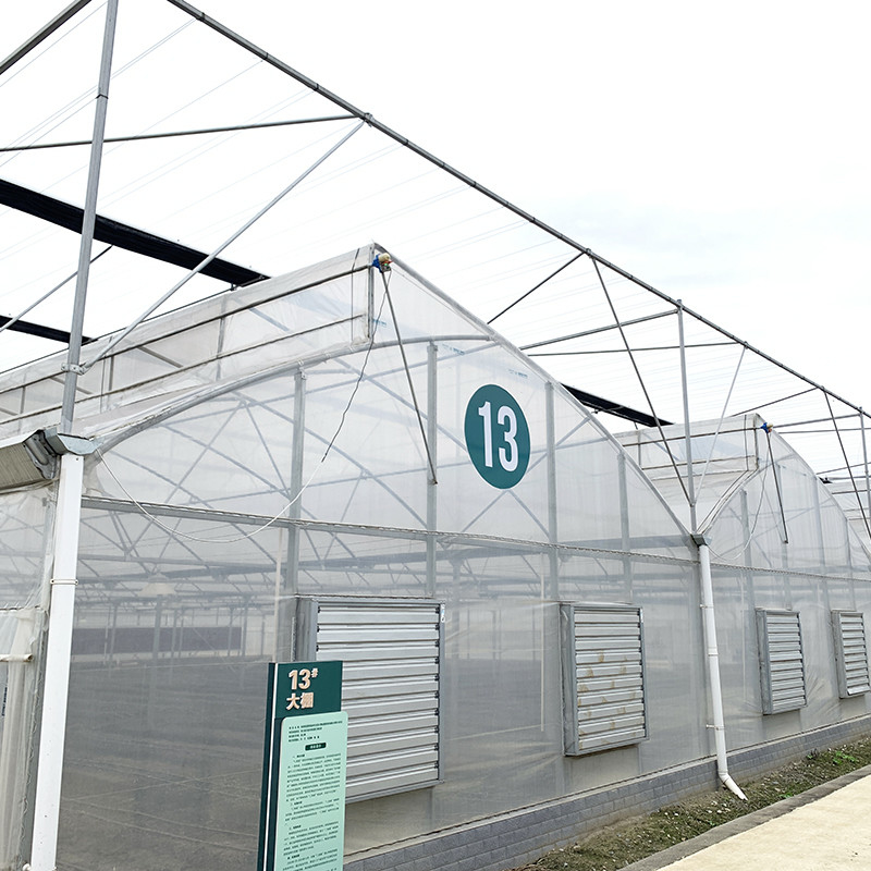 Estructura de acero Diente de sierra Poli película de túnel bajo Invernadero agrícola de múltiples tramos para la producción sostenible de verduras