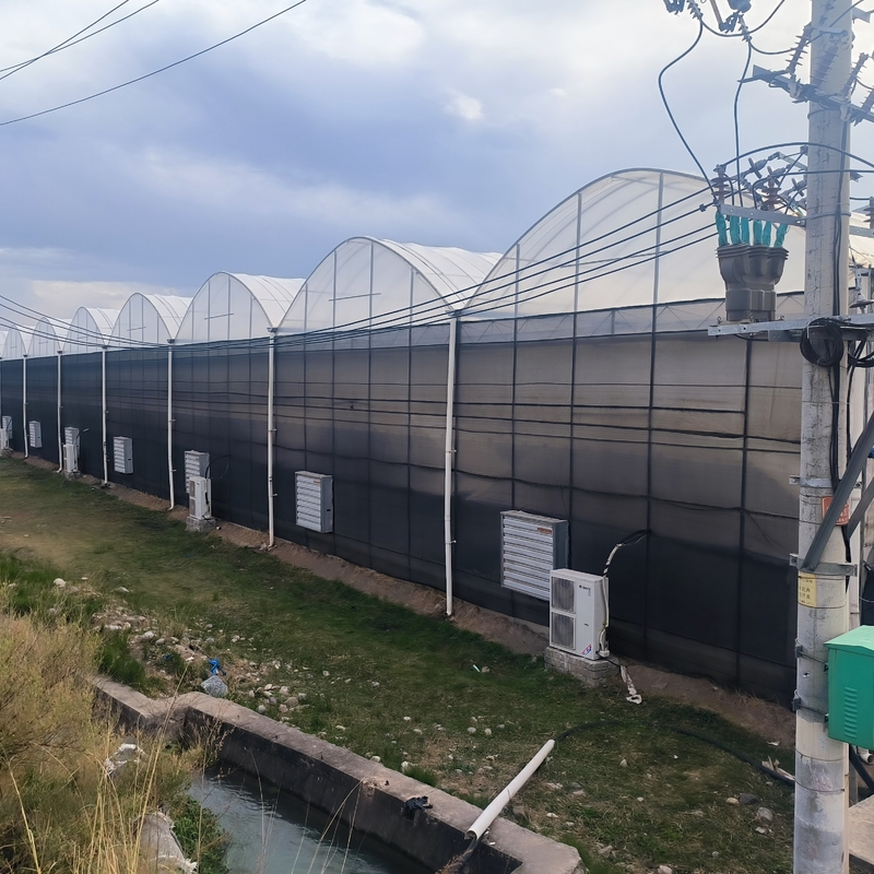 Estructura de acero Agricultura Poly túnel sombreado negro Invernadero de múltiples tramos con sistema de refrigeración opcional