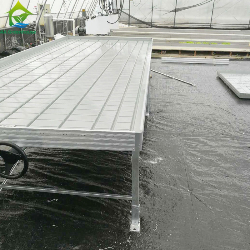 Bancos rodantes de invernadero Tabla de cultivo para semillas de plantas de tomate Sistema de riego de flujo y flujo