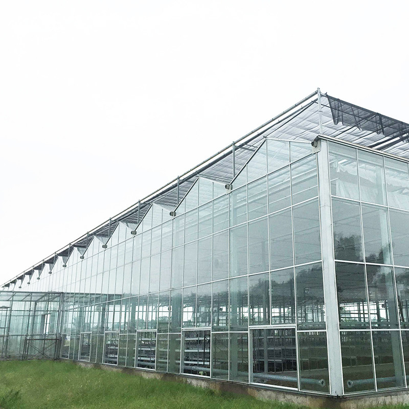 9.6m/10.8m/12m ancho marco de aleación de aluminio vidrio agrícola venlo invernadero de múltiples tramos con moldeo de techo triangular