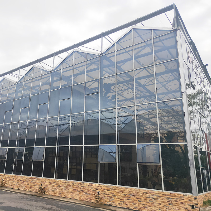 Estructura de acero galvanizado y cubierta de vidrio reforzada para una ventilación óptima en invernaderos de vidrio agrícolas