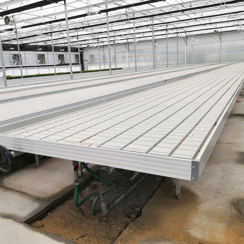 Eb y flujo 4FT*8FT Vertical Hydroponic Movable Roller Bench Tabla de cultivo con poste