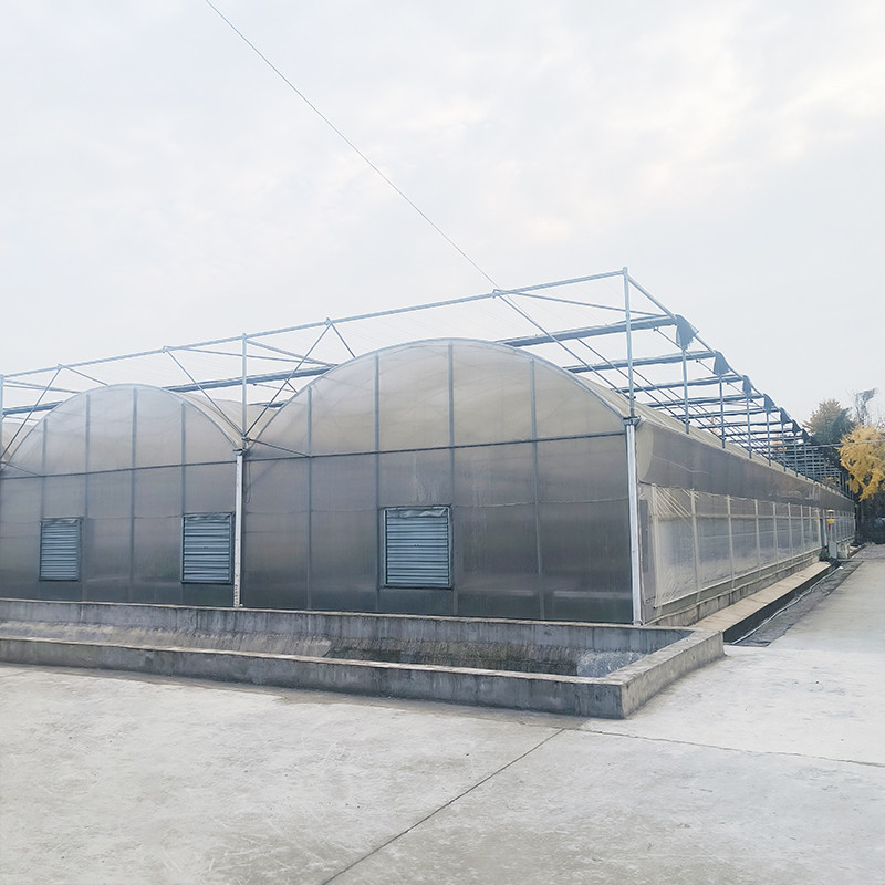 Moldeado de techo triangular comercial de múltiples tramos Gran túnel de vidrio Casa de flores de cultivo invernadero gótico