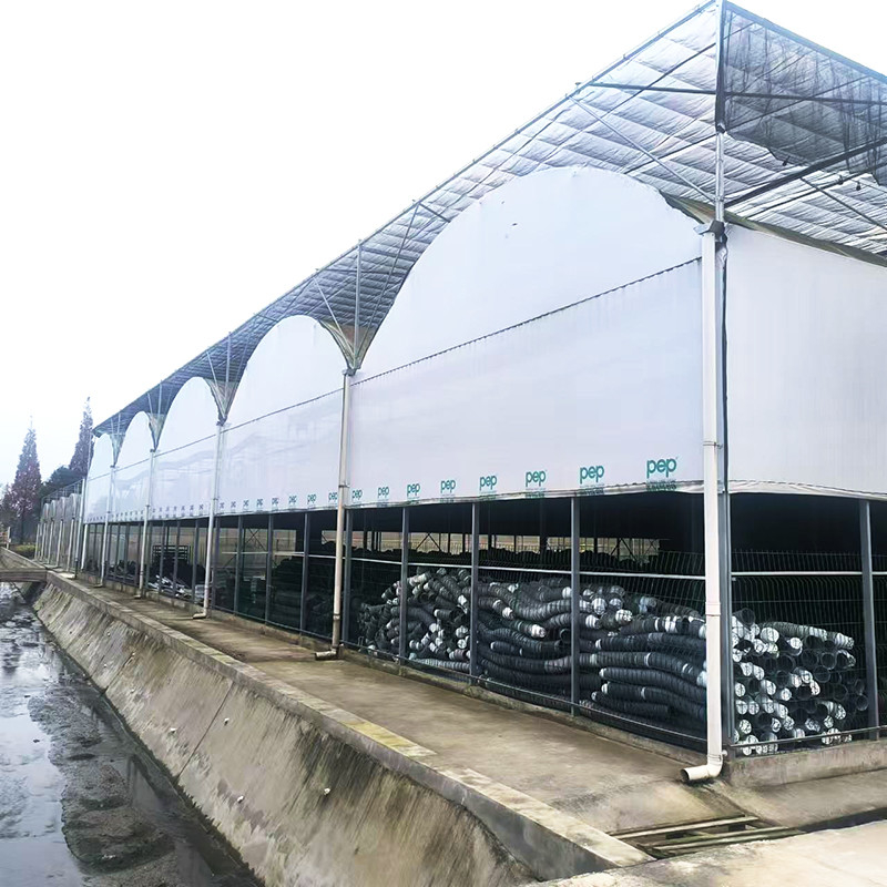 Pipa de acero galvanizado en caliente Vivero Sistema de apagado de película Panda de múltiples tramos Hongo Invernadero tropical