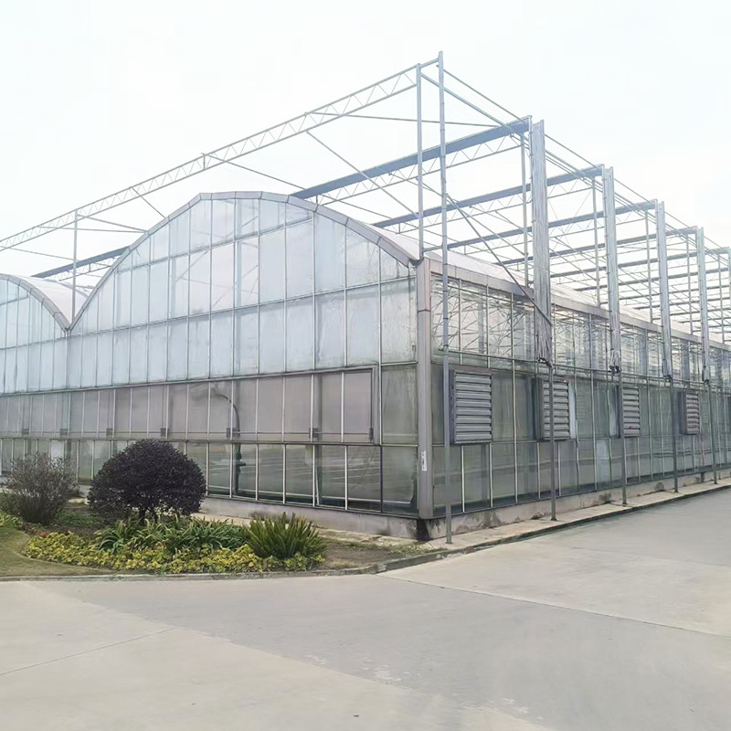 Casa de vidrio templado de lujo industrial agrícola con estructura estable y sistema de calefacción