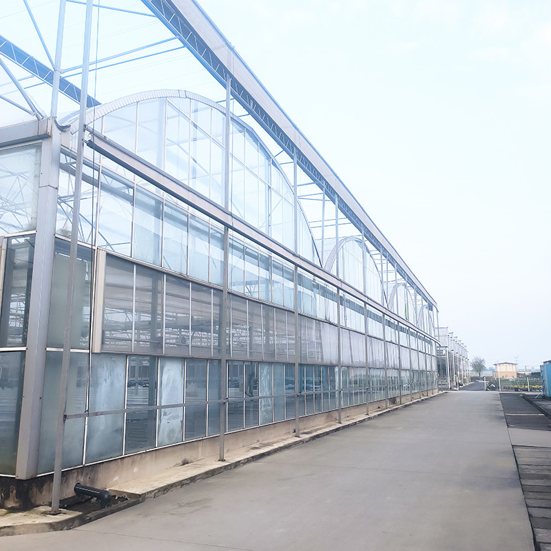 Casa de vidrio templado de lujo industrial agrícola con estructura estable y sistema de calefacción