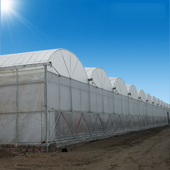 Estructura estable Invernadero hidropónico de película poli para riego