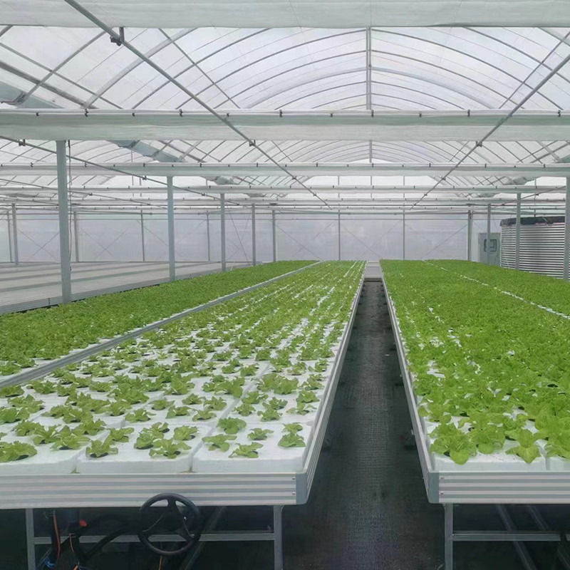 Tabla de cultivo de invernadero de tamaño personalizado para la jardinería