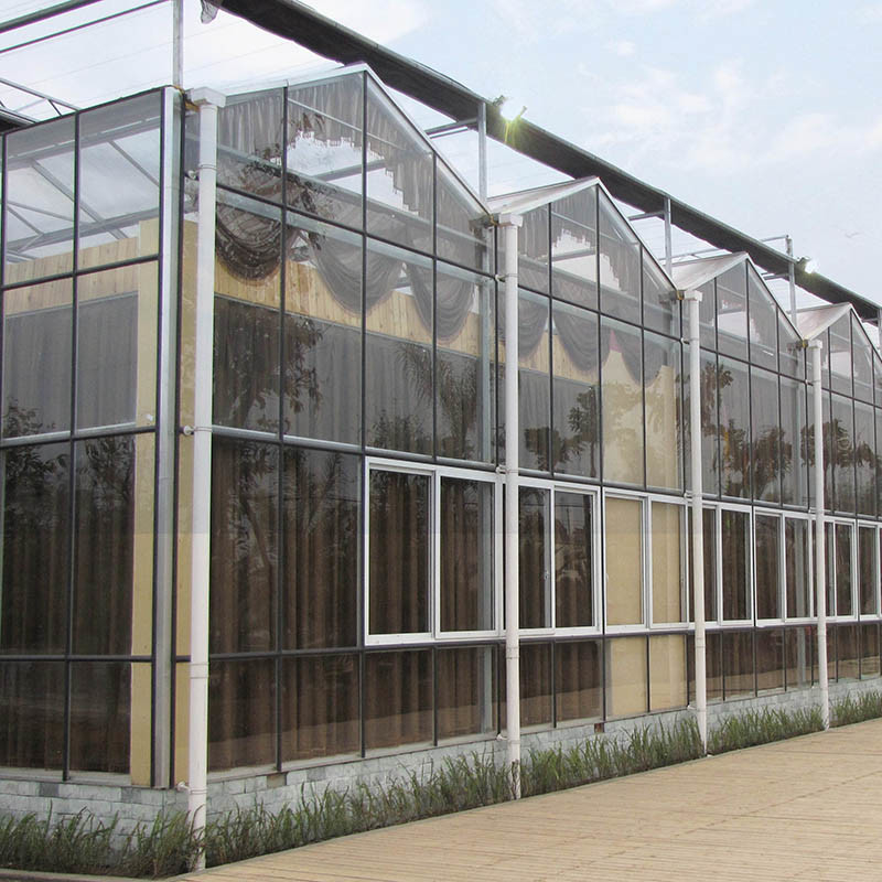 Invernadero de tomate de vidrio templado de acero galvanizado de varias franjas para condiciones óptimas de cultivo
