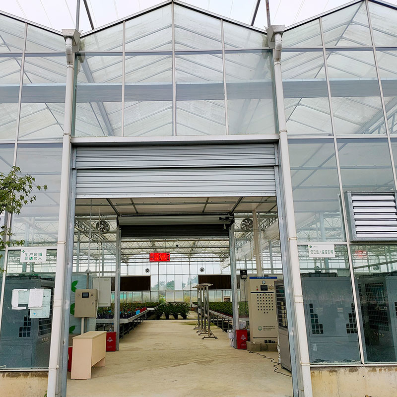 Estructura de acero galvanizado sumergido en caliente Ventilación automática Vidrio agrícola Venlo Invernadero de semillas de tomate de múltiples tramos