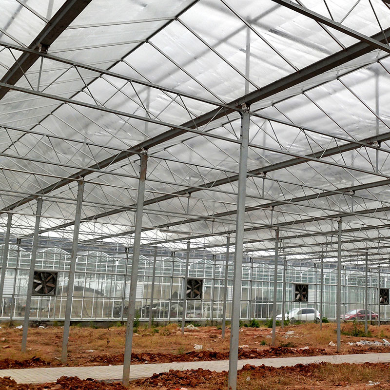 Ventilación automática Vidrio agrícola Venlo invernaderos de tomate de túnel grande con sistema de refrigeración y ventilador