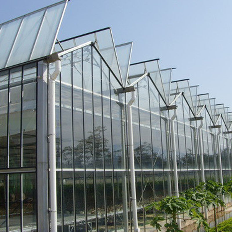 Ventilación automática Vidrio agrícola Venlo invernaderos de tomate de túnel grande con sistema de refrigeración y ventilador