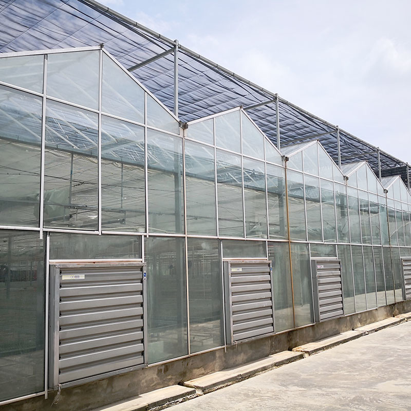 Ventilación automática Vidrio agrícola Venlo invernaderos de tomate de túnel grande con sistema de refrigeración y ventilador