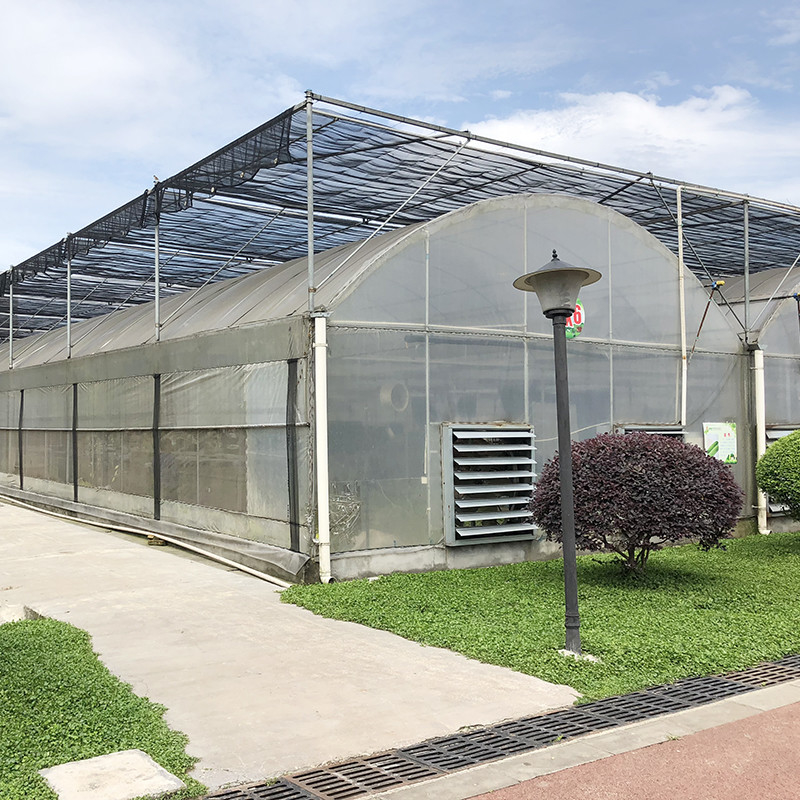Estructura de acero Gran túnel de plástico multi-espacio de cultivo de arándanos para una estructura estable