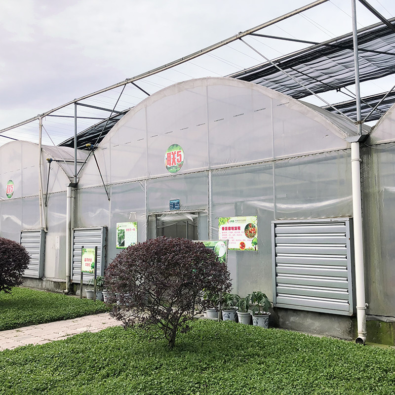 Estructura de acero Gran túnel de plástico multi-espacio de cultivo de arándanos para una estructura estable