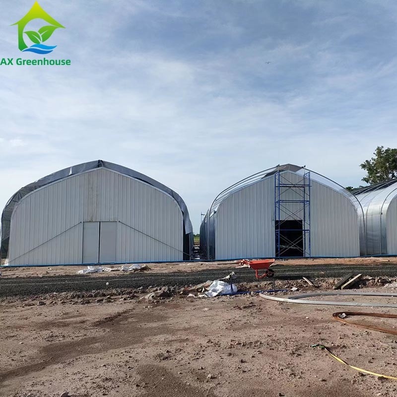 Tenda de invernadero de película de tramo único para cultivo comercial