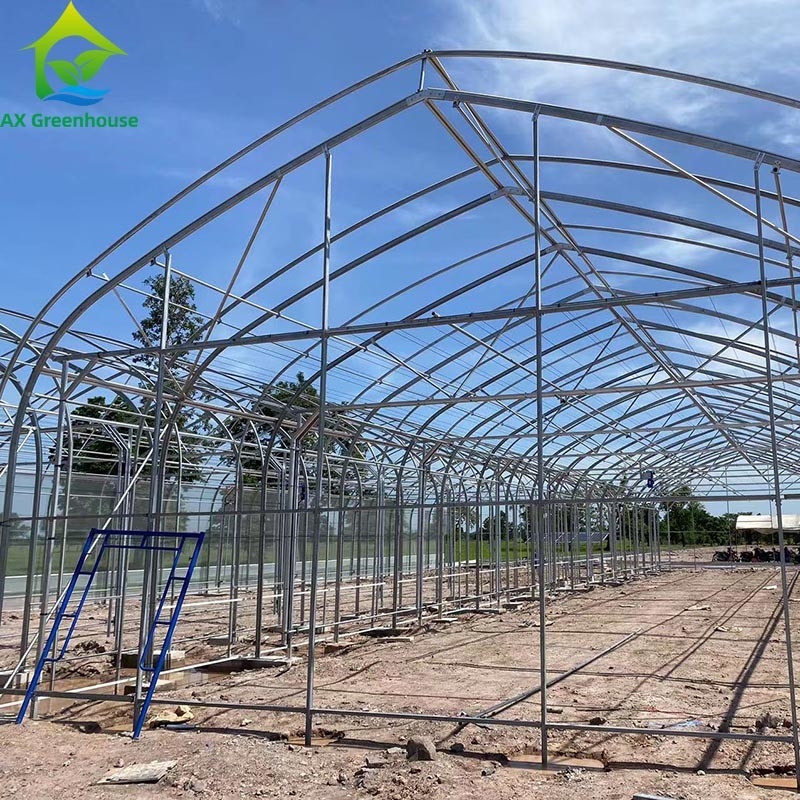 Tenda de invernadero de película de tramo único para cultivo comercial
