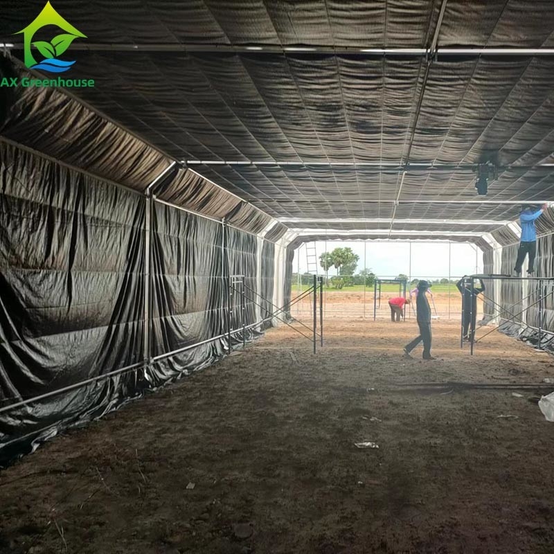 Tenda de invernadero de película de tramo único para cultivo comercial