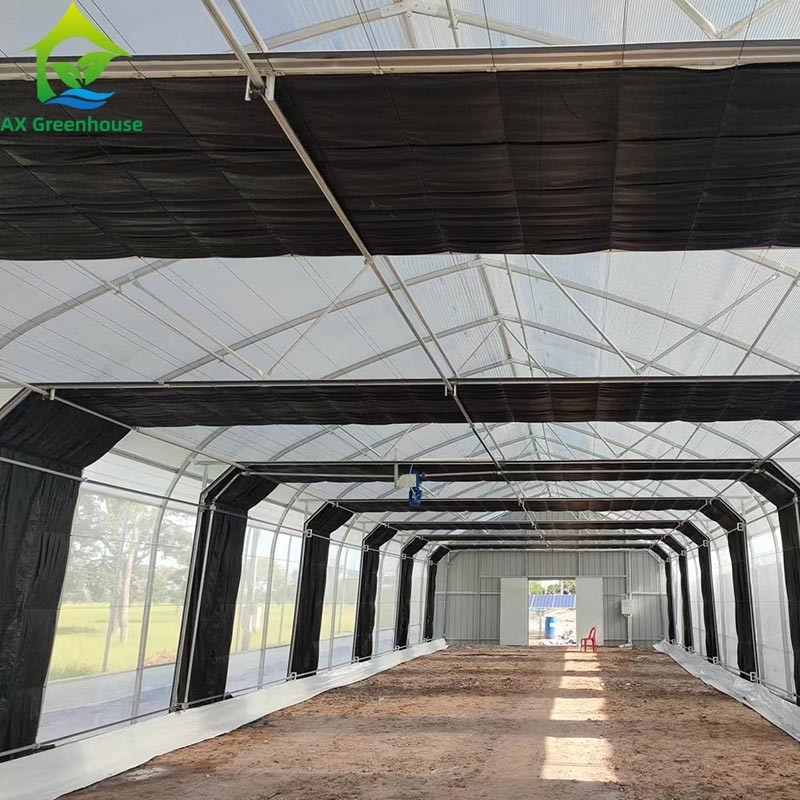 Tenda de invernadero de película de tramo único para cultivo comercial