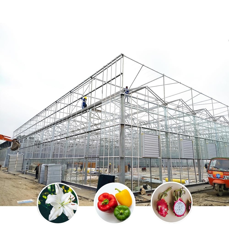 Solución agrícola para todo tipo de condiciones climáticas Estructura estable Invernadero con acero galvanizado y vidrio comercial