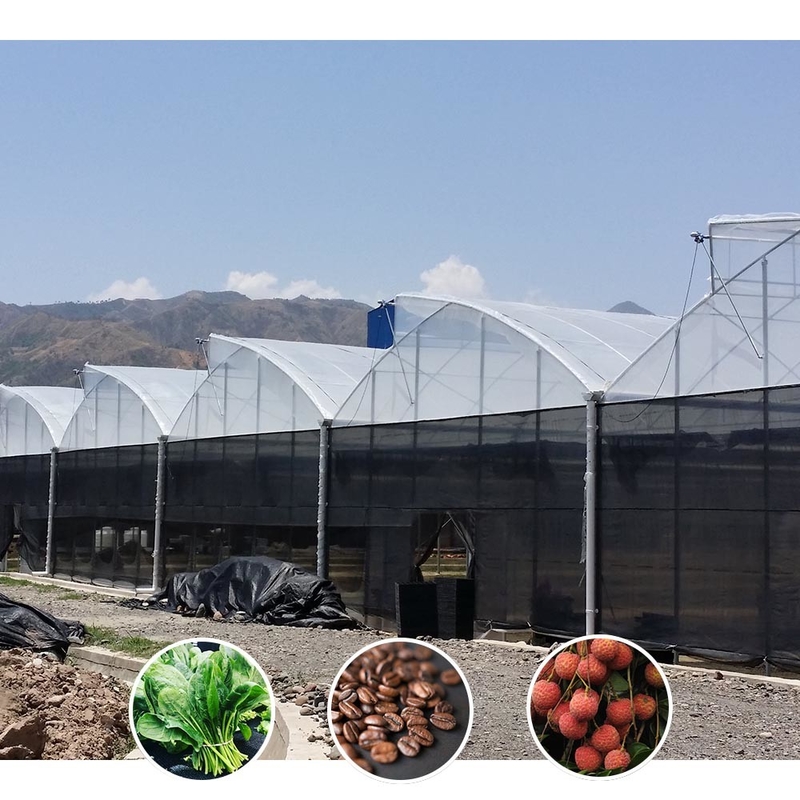 Venta de invernaderos de plástico con película UV poli túnel de dientes de sierra agrícolas de múltiples tramos