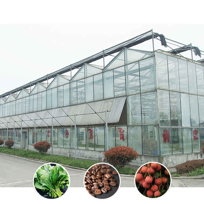 Solución agrícola para todo tipo de condiciones climáticas Estructura estable Invernadero con acero galvanizado y vidrio comercial
