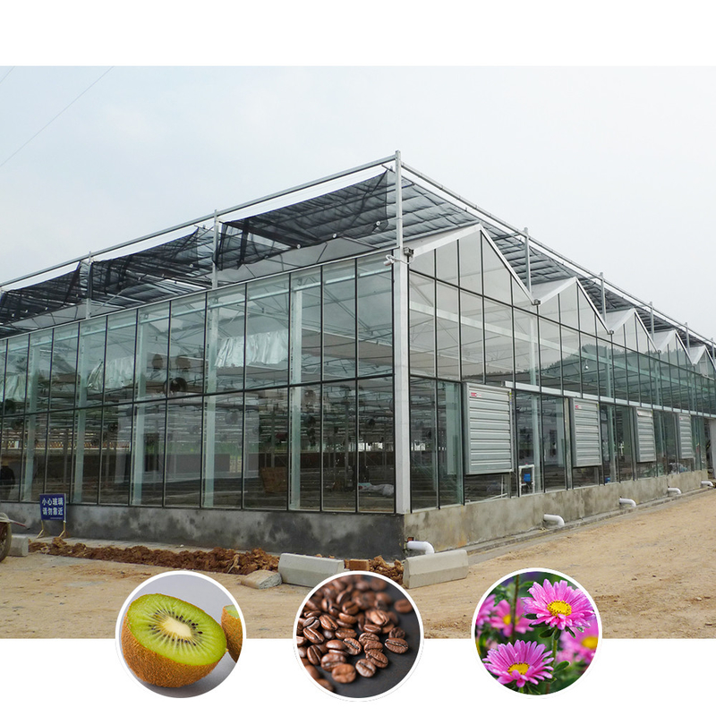 Solución agrícola para todo tipo de condiciones climáticas Estructura estable Invernadero con acero galvanizado y vidrio comercial