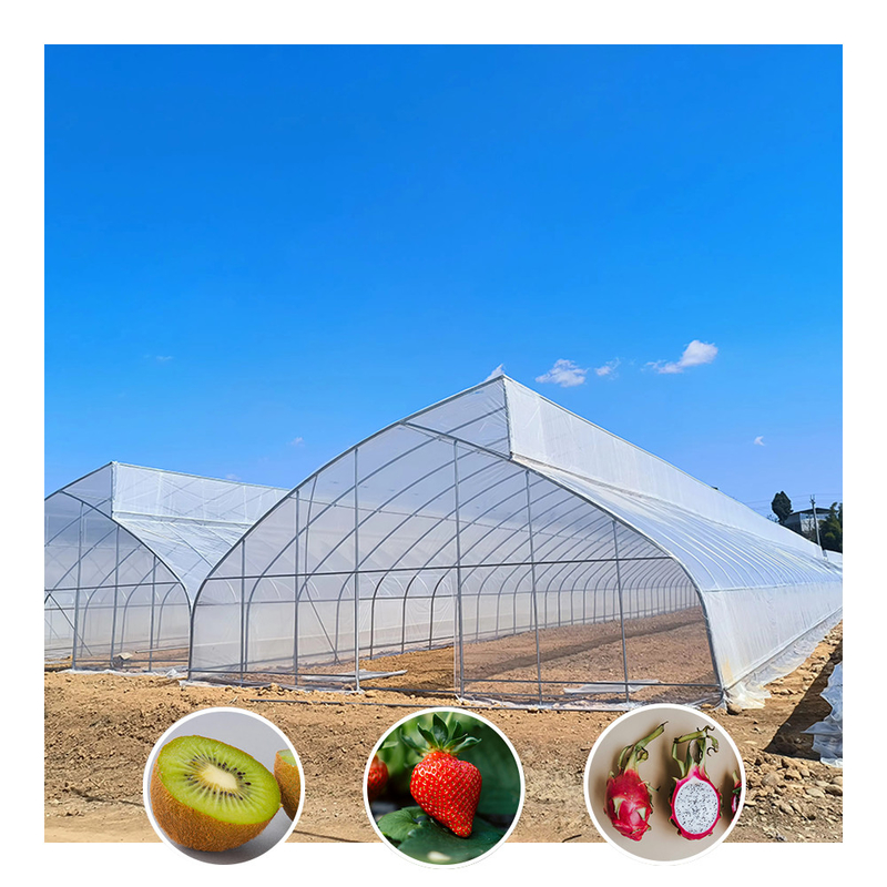 Túnel de invernadero de película de plástico tropical de diseño de dientes de sierra de tramo único personalizado para el cultivo de verduras