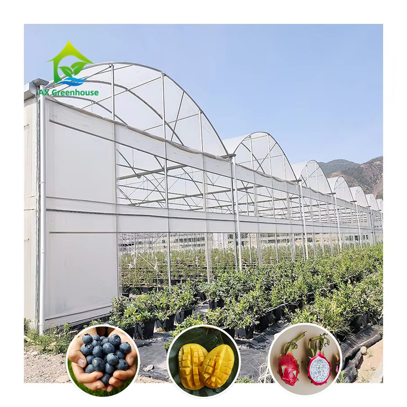 Estructura de acero Gran túnel de plástico multi-espacio de cultivo de arándanos para una estructura estable
