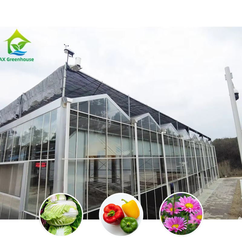 Solución agrícola para todo tipo de condiciones climáticas Estructura estable Invernadero con acero galvanizado y vidrio comercial