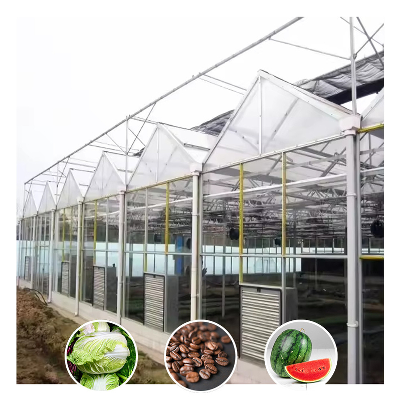 Invernadero de vidrio agrícola de tipo galvanizado de gran túnel para flores
