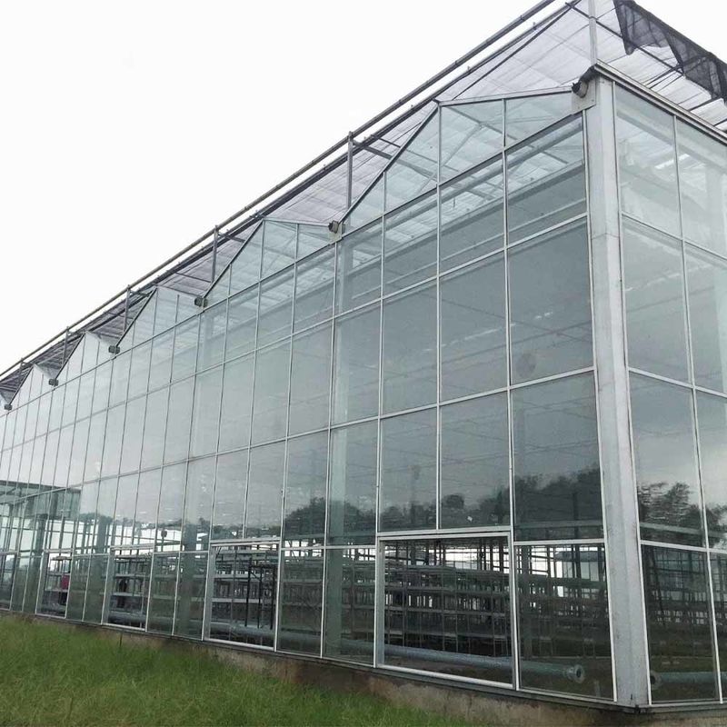 Invernadero agrícola de vidrio de estilo Venlo de múltiples tramos con techo triangular y ventilación lateral superior para la ventilación