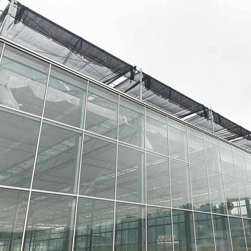 Invernadero agrícola de vidrio de estilo Venlo de múltiples tramos con techo triangular y ventilación lateral superior para la ventilación