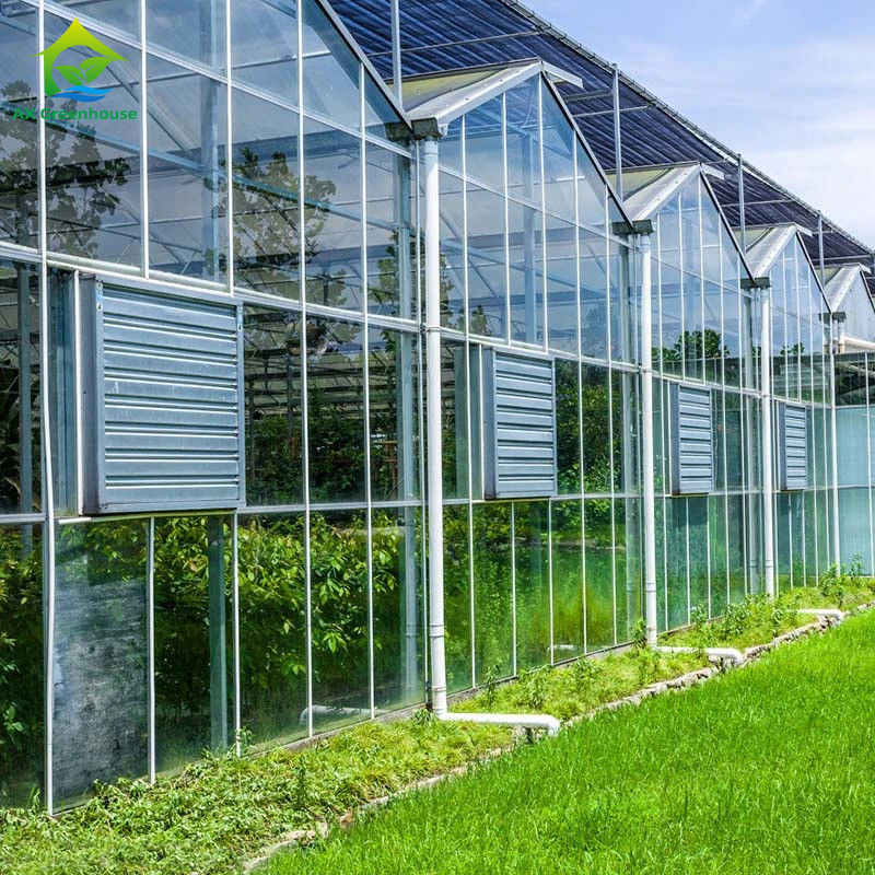 Agricultura Invernadero de vidrio tipo Venlo Ingeniería holandesa Cuadro galvanizado para hidropónica