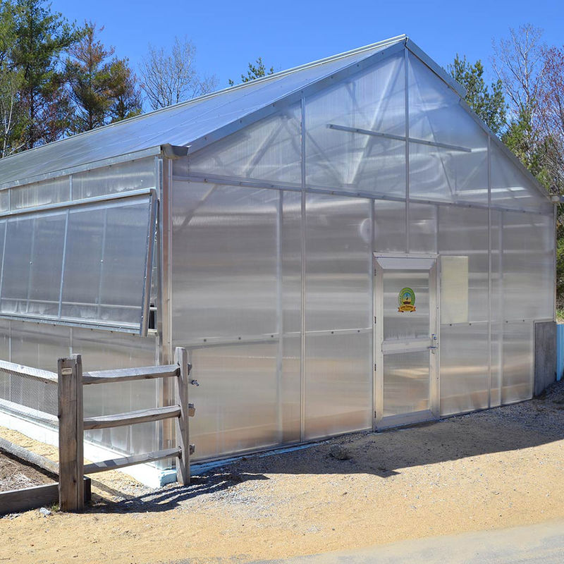Invernadero versátil de policarbonato multicapa de una sola sección, ideal para hortalizas, plántulas, flores y agricultura en el patio trasero.