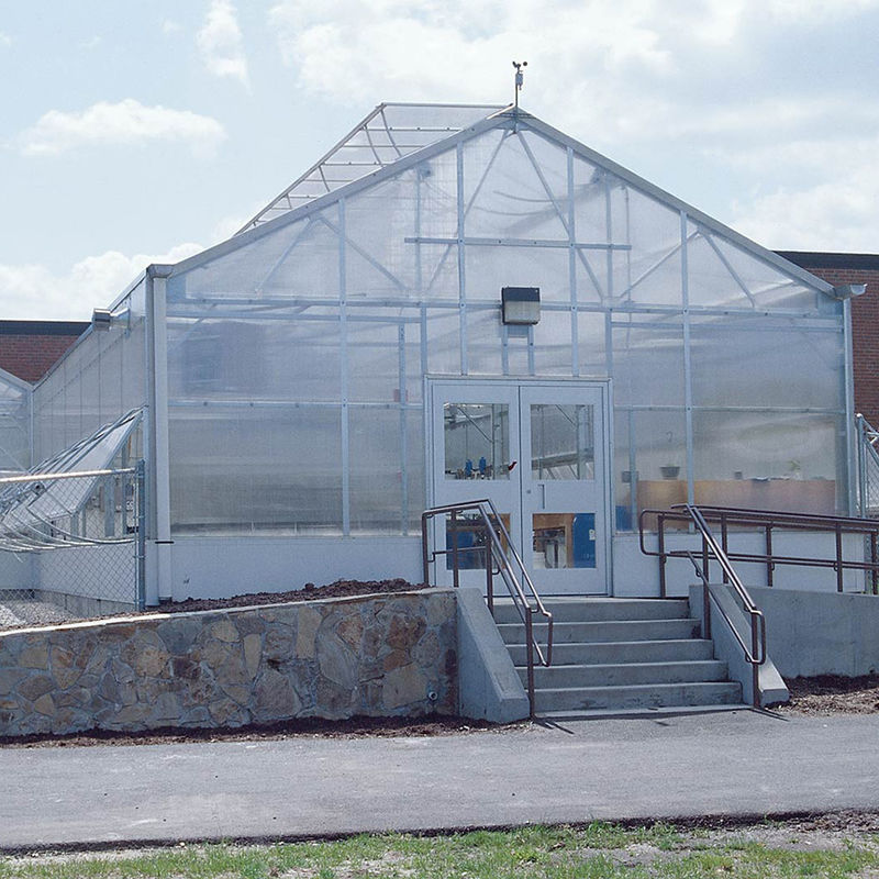 Invernadero versátil de policarbonato multicapa de una sola sección, ideal para hortalizas, plántulas, flores y agricultura en el patio trasero.