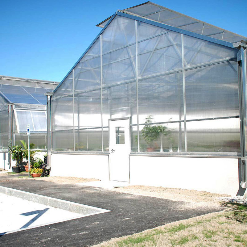 Invernadero versátil de policarbonato multicapa de una sola sección, ideal para hortalizas, plántulas, flores y agricultura en el patio trasero.
