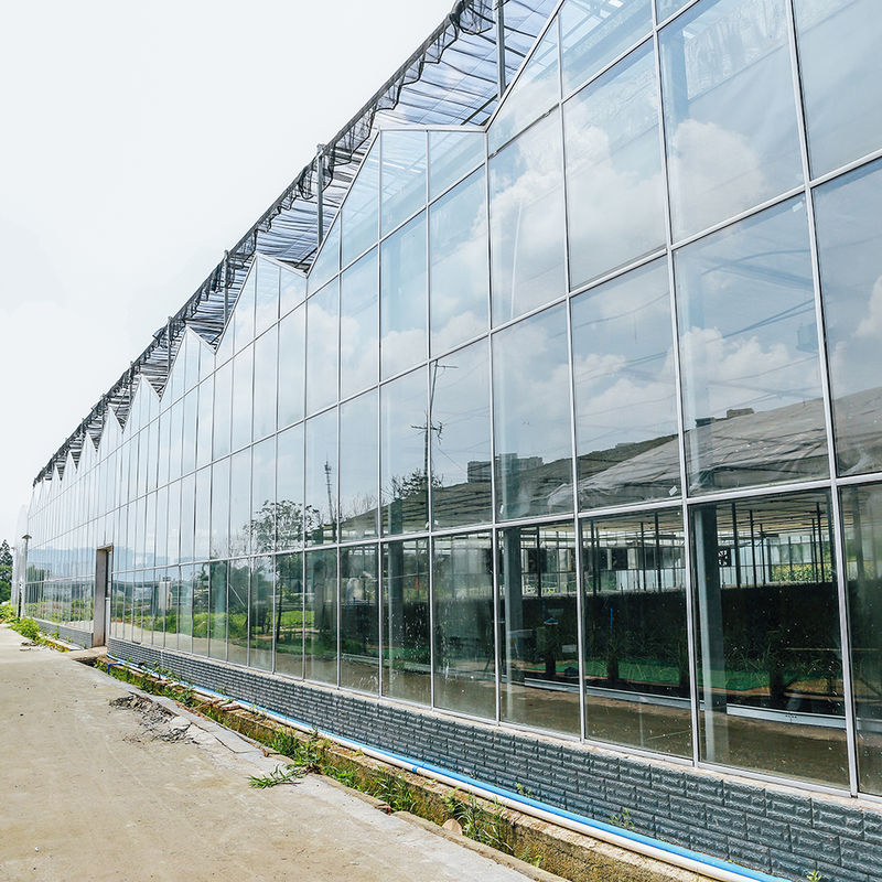 Invernadero de vidrio para semillas de tipo Venlo para el cultivo de flores