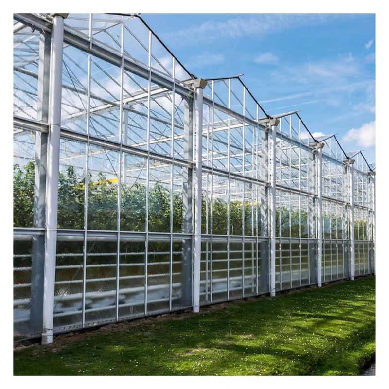 Agricultura Invernadero de vidrio tipo Venlo Ingeniería holandesa Cuadro galvanizado para hidropónica