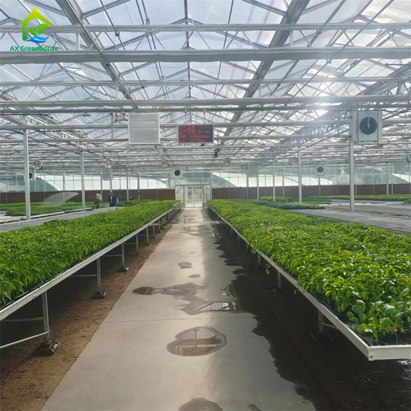 Invernadero inteligente de vidrio templado transparente verde, grande, de múltiples vanos, tubería de acero galvanizado en caliente, invernaderos agrícolas de vidrio para el cultivo de plantas y flores
