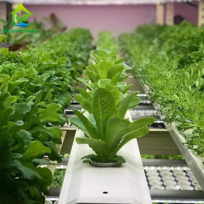 Sistema automatizado inteligente de plantación en contenedor agrícola, cultivo hidropónico vertical multicapa NFT sin suelo