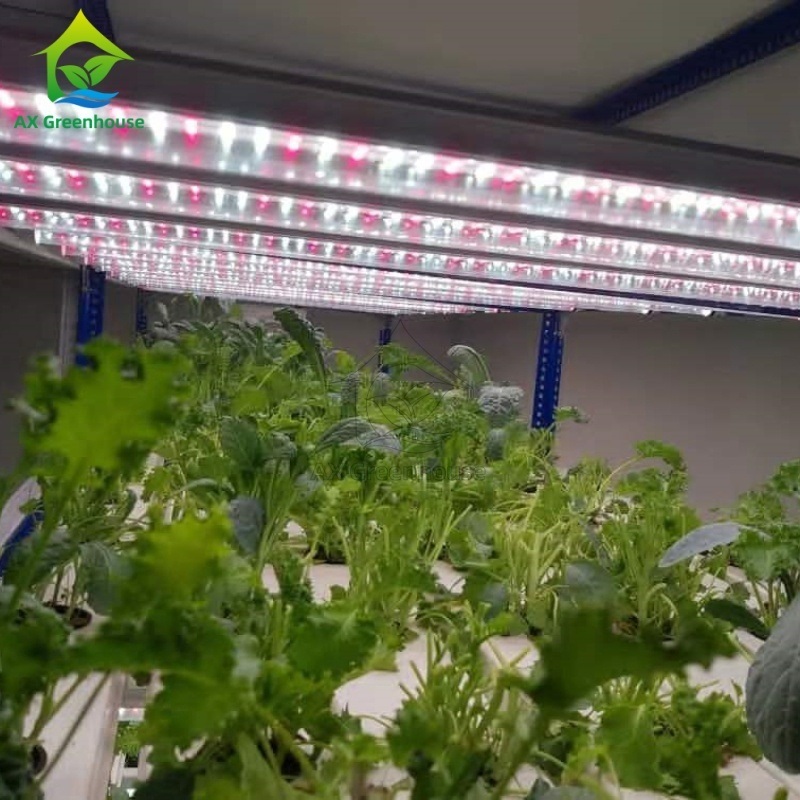 Sistema automatizado inteligente de plantación en contenedor agrícola, cultivo hidropónico vertical multicapa NFT sin suelo