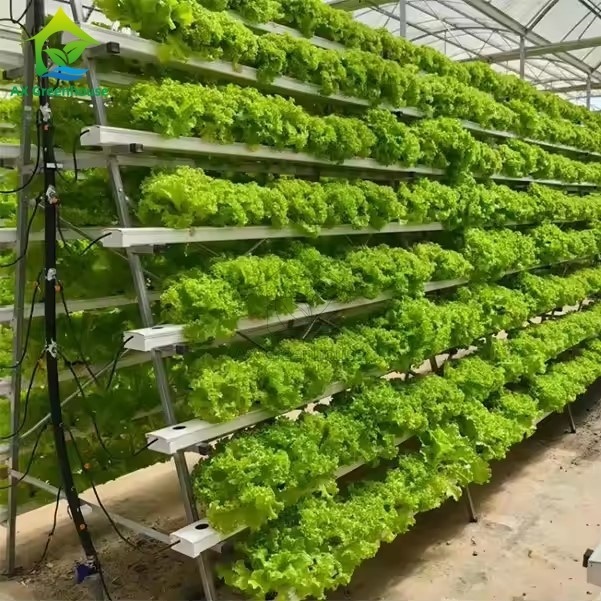 Sistema de cultivo sin suelo en invernadero, técnica de película de nutrientes (NFT) en marco A, cultivo eficiente de vegetales