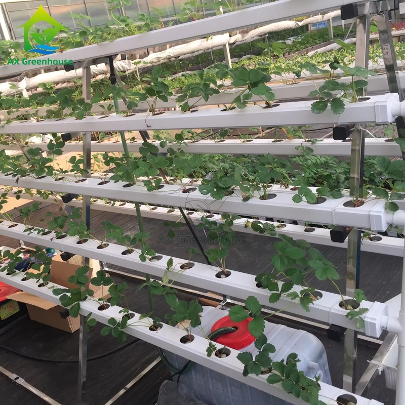 Sistema de cultivo sin suelo en invernadero, técnica de película de nutrientes (NFT) en marco A, cultivo eficiente de vegetales