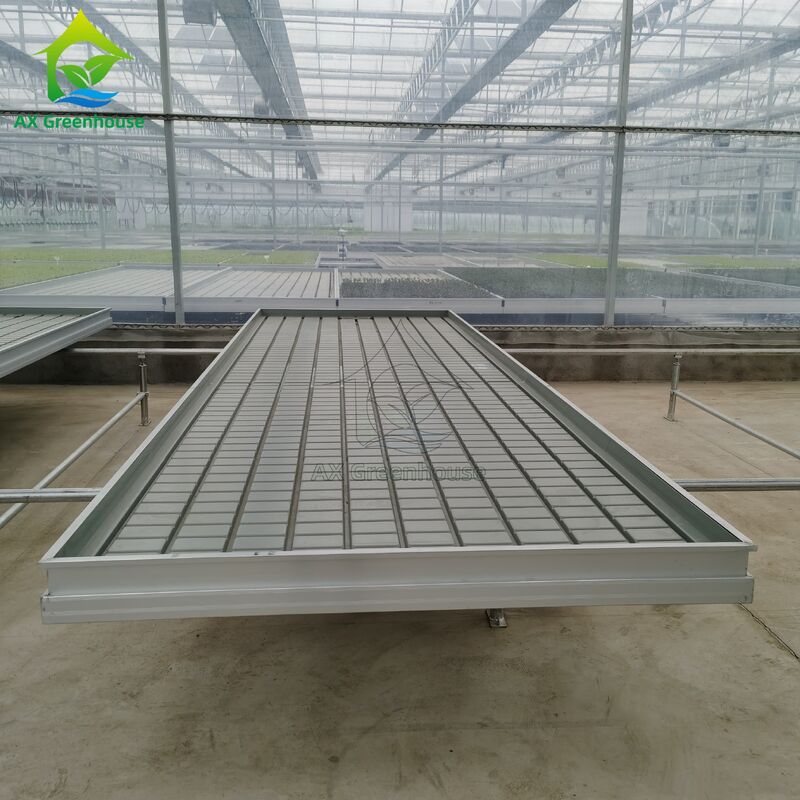 Mesa de semillero para cultivo de plántulas en invernadero con sistema de flujo y reflujo ajustable montada sobre rieles y basada en logística personalizada