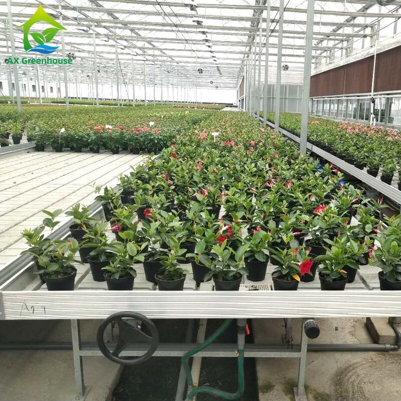 Cuadro de aluminio comercial, banco de reflujo y flujo con altura ajustable y bandeja PP/ABS integrada para invernaderos