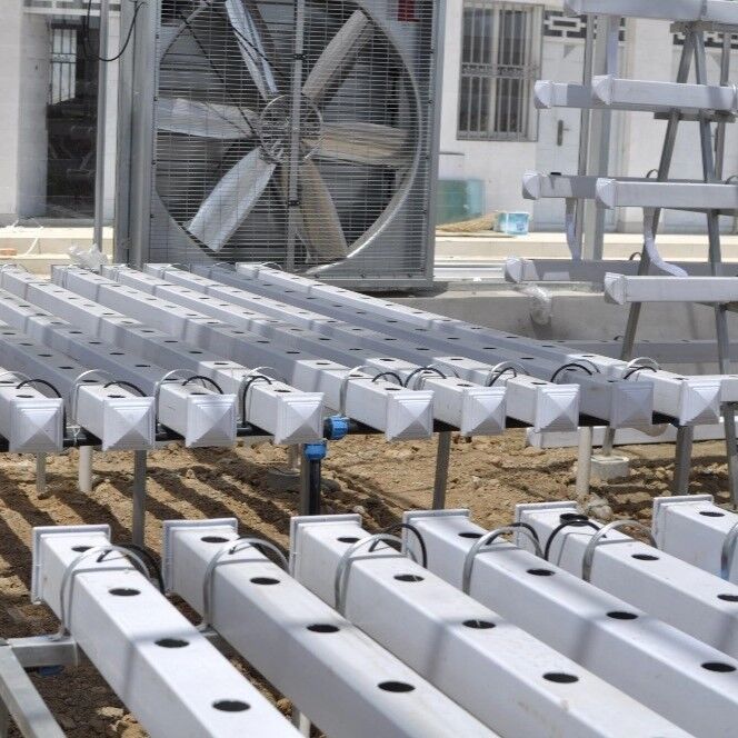 Sistema Hidropónico NFT de PVC de Grado Alimenticio con Inhibidores UV y Dimensiones Personalizables para Invernaderos Comerciales