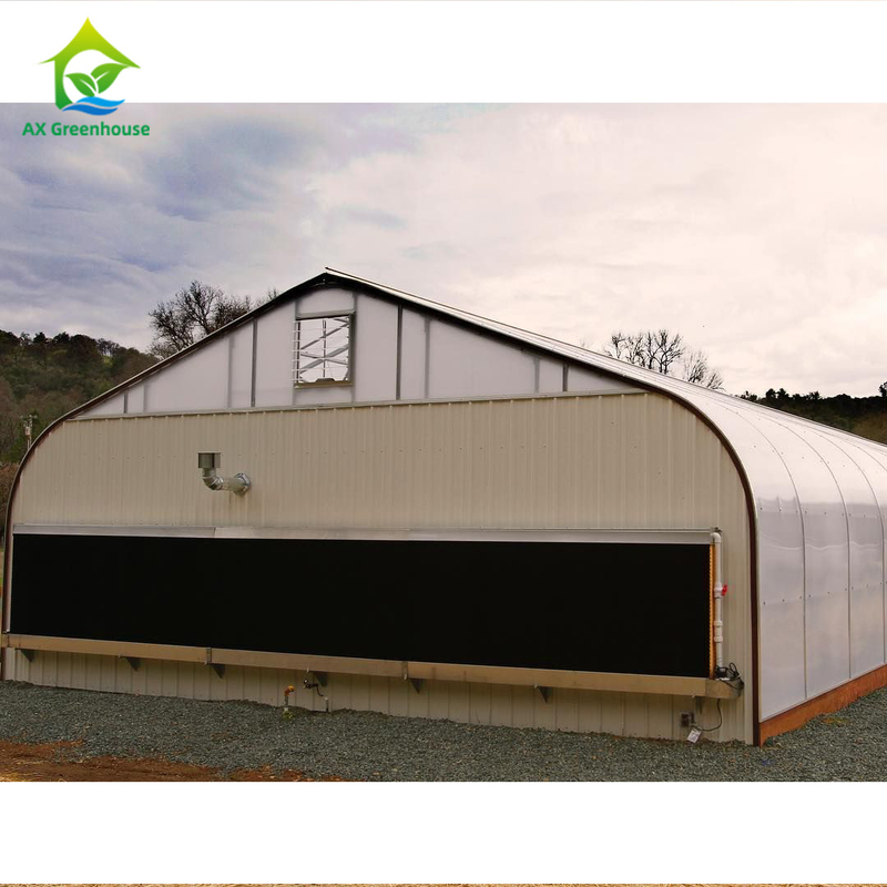 sistema de control del clima de Dep Grow Tunnel Greenhouse With de la luz de la altura de la pared de 1,8-3M